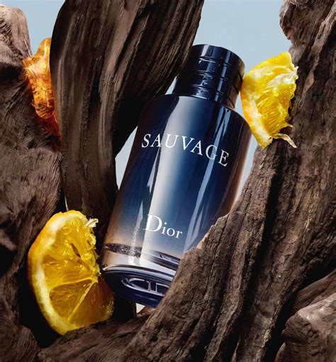 edt eau de sauvage von dior für damen|Dior Sauvage edt fragrantica.